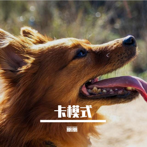 故乡故乡