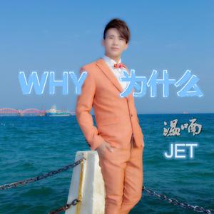 WHY为什么