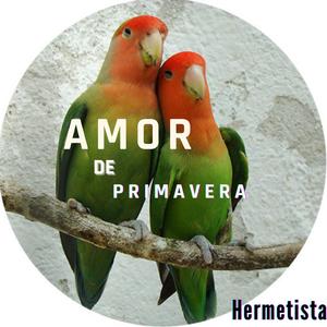 Amor de Primavera (feat. Hermetista & Garabato Beats)