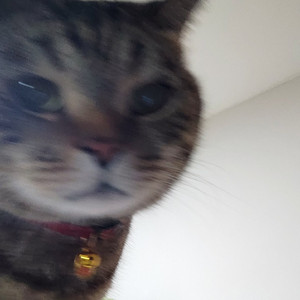 余其伟-4.5珠江之恋.m4a（Lysandra remix）