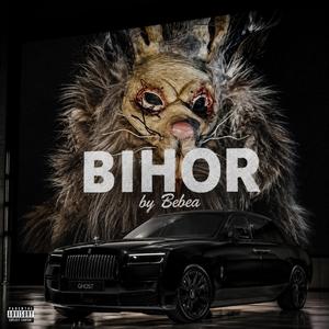 BIHOR (feat. Vasile)