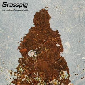 Uudistuminen