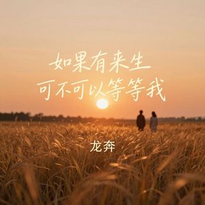 如果有来生可不可以等等我