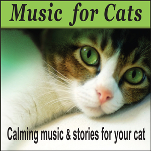 Musical Catnip