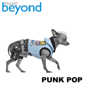 Punkmore
