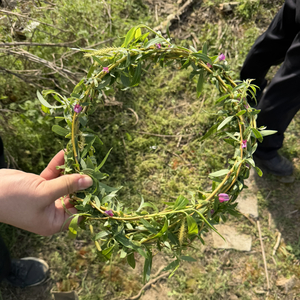 阳光下的星星.wav