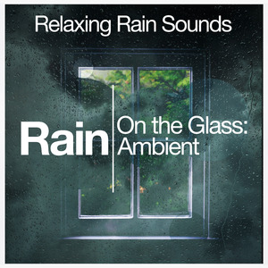 Tree Branch Raindrops