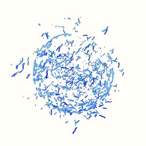 CCB (feat. Kumotora & Archivage d'Œuvres)