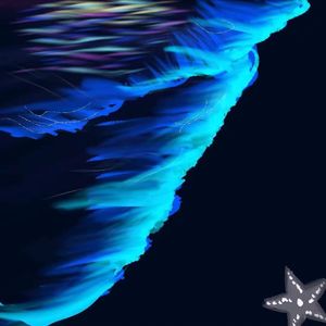 intro（海）