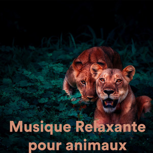 Deep Sleep Meditation for Cows