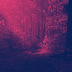 抚慰的安静的时光回忆