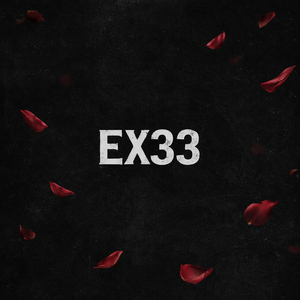 Ex33