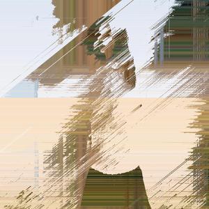 alacsony fekete es a savanyú lágy háromszög alakú képződményekké