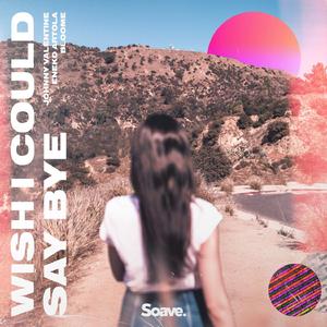 Wish I Could Say Bye