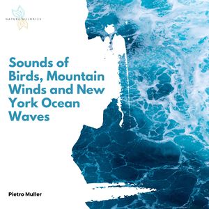 Insights into New York Winds