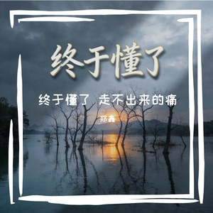 终于懂了 走出来的痛（伴奏）