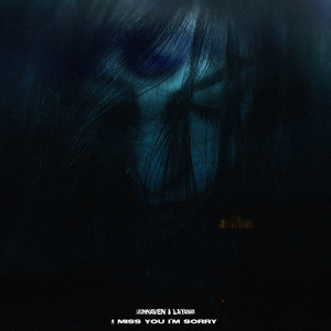 i miss you, im sorry