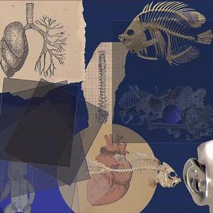 情绪垃圾桶（PROD：ZS）