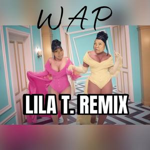 WAP Remix (Grandma Parody Version)