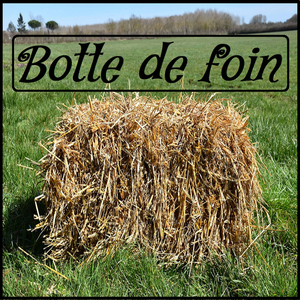 Écoute la musique
