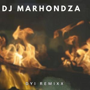 DYI REMIXX