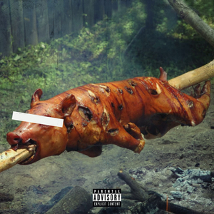Salmonella