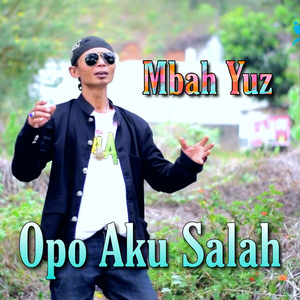Opo Aku Salah