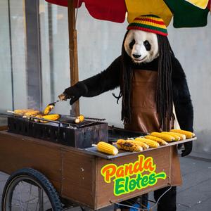 Panda Elotes