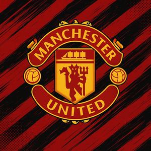 Manchester United (Transfer Wildfire)