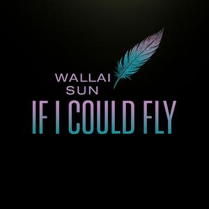 If I Could Fly