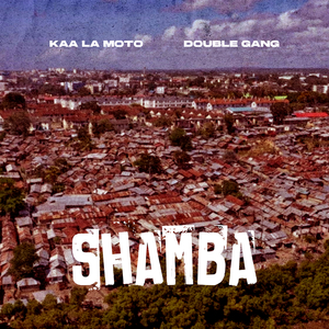 Shamba