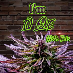 Im In Love With This Purp (feat. Big Chill, 73live, I AM NATION & Saga-G)