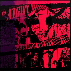 Pick Yourself a Daisy