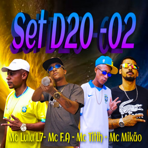 Set D20 -02