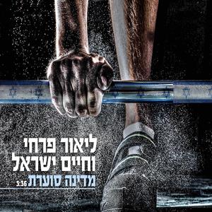 מדינה סוערת