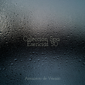 Valsa del Espejismo Brumoso