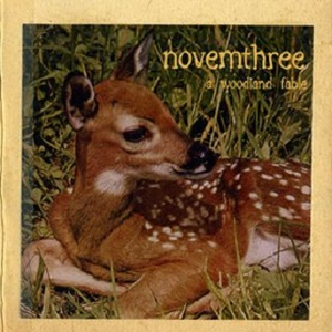 All Of The Otters, Both Of Them, Begin To Argue...