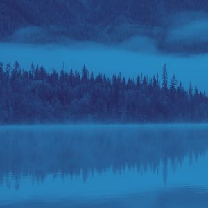 抚慰的在家休息回忆