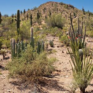 Amigos y la afición