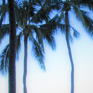 セレナーデ 2022