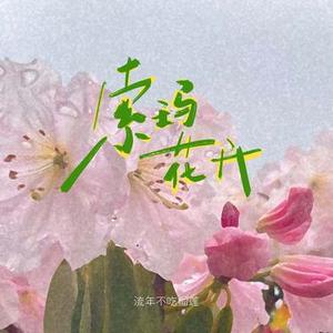 索玛花开