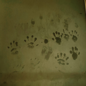 唉，燕砸（prodMORROW）