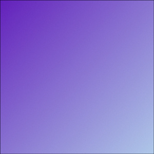 D4L (Cover)