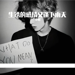 生锈的感情又逢下雨天