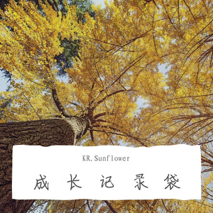 岸部眞明-流行的云（KR.Sunflower remix）