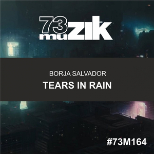 Tears In Rain (Original Mix)