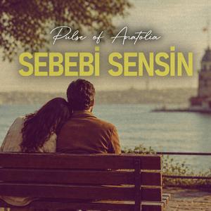 Sebebi Sensin