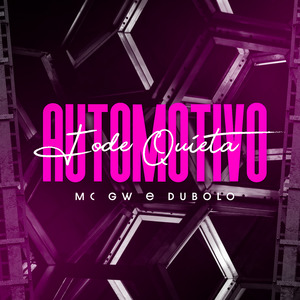 Automotivo Fode Quieta