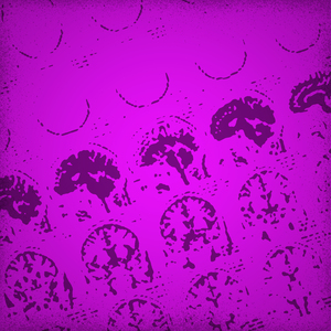 Разум Лэпа III