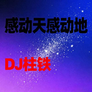 感动天感动地 (Live版)